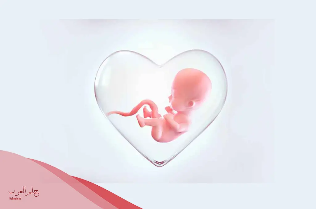 دعاء لحفظ الجنين من التشوهات والامراض من القران
