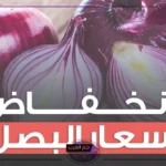 الكيلو بكم؟ ارتفاع كبير في أسعار البصل اليوم الثلاثاء 16 يوليو 2024 في مصر