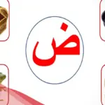 جماد بحرف الضاء إسم جماد بحرف الضاد (ض)