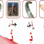 جماد بحرف ذ .. جماد يبدأ بحرف الذال