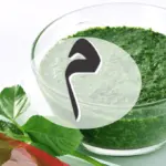 نبات بحرف م وجميع المعلومات عن أسماء نبات بحرف الميم