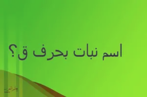 دليلك للتعرف علي نبات بحرف ق واسماء 10 نباتات برية بحرف ق