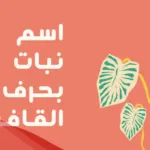 دليلك للتعرف علي نبات بحرف ق واسماء 10 نباتات برية بحرف ق
