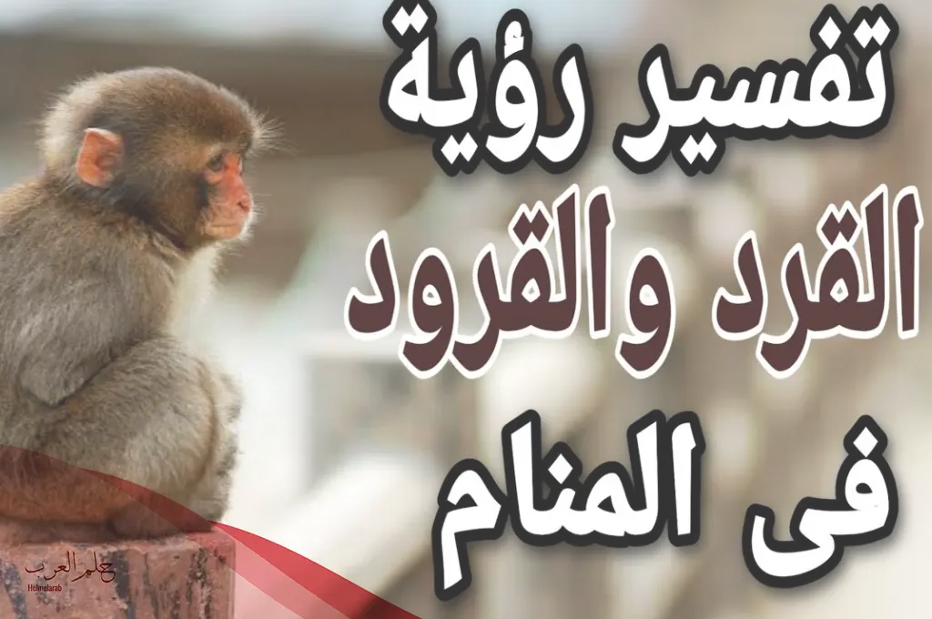 تفسير حلم القرد الصغير في المنام لابن سيرين