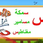 جماد بحرف س 10 جمادات بحرف السين
