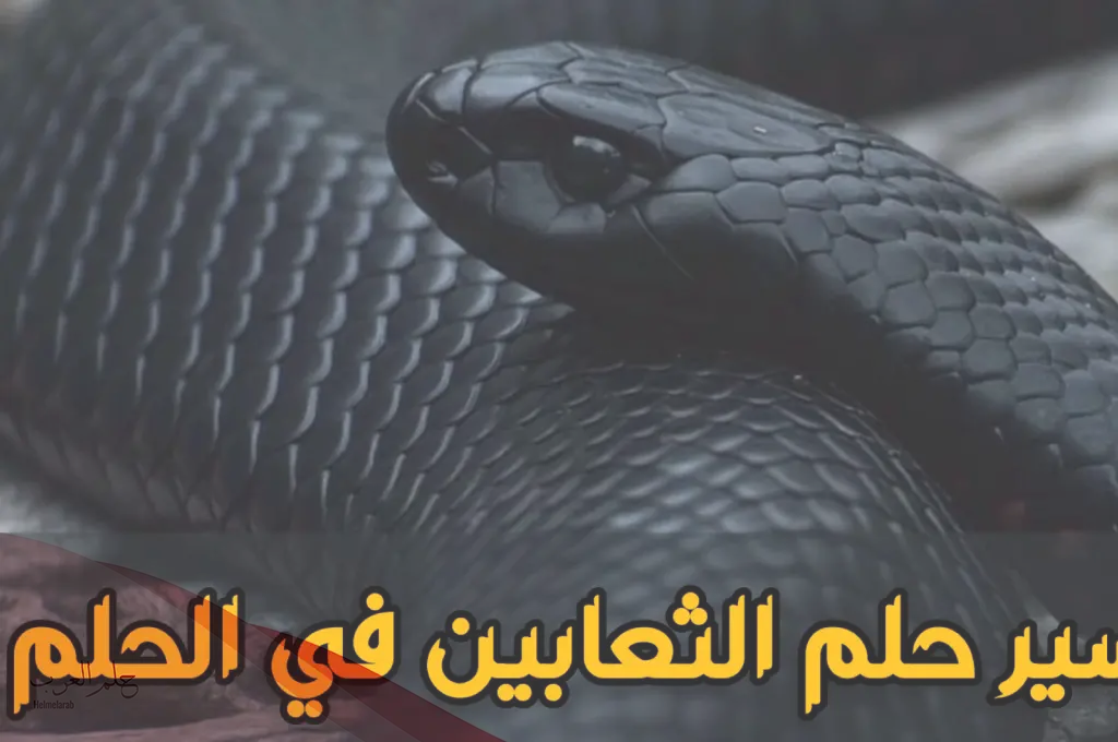 تفسير حلم الثعبان الأسود في البيت لابن سيرين والنابلسي تفسير حلم الثعبان الأسود في البيت لابن سيرين والنابلسي