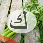 دليل اسماء نبات بحرف الكاف وجميع المعلومات عن نباتات بحرف ك