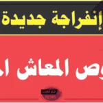 شروط المعاش.. الحكومة المصرية توضح شروط المعاش المبكر للخروج 2024