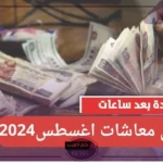 هيئة التأمينات الاجتماعية.. تحديد موعد صرف معاشات أغسطس في مصر مع الزيادة الجديدة