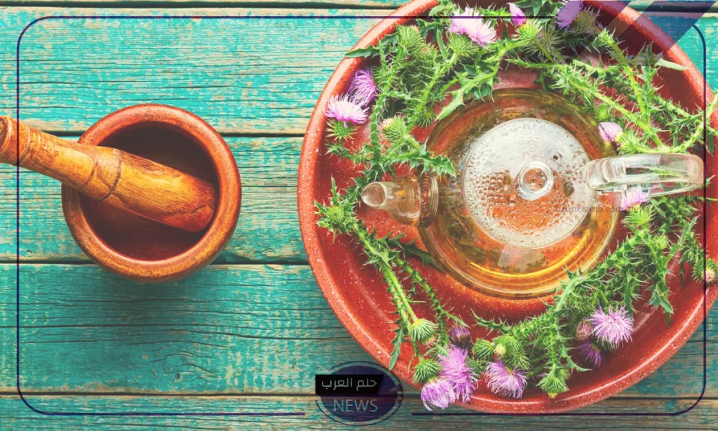 لا تتناولها.. أعشاب تصيب الكبد بالتسمم بسبب الإفراط في تناولها