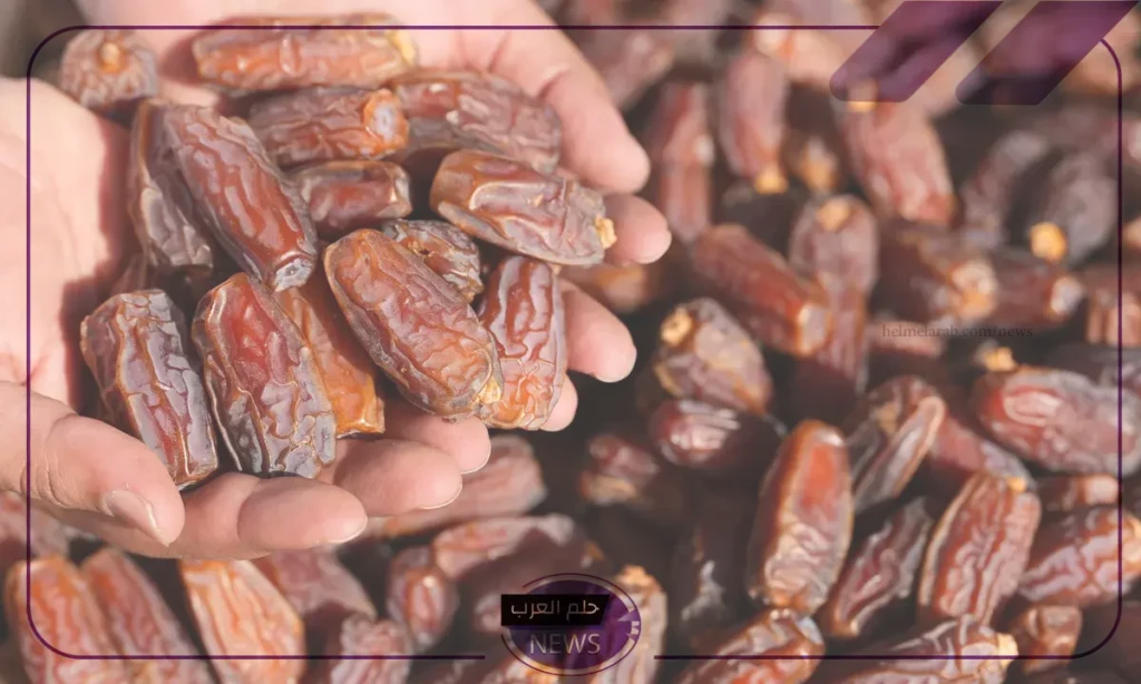 لن ينافسها أحد.. السعودية تتربع على عرش إنتاج هذه الفاكهة على مستوى العالم لن ينافسها أحد.. السعودية تتربع على عرش إنتاج هذه الفاكهة على مستوى العالم