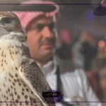 مزاد الصقور.. بيع أغلى صقر في هذا العام بالرياض بذلك السعر