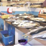 بدءً من الخميس.. حظر صيد سمك الكنعد في السواحل الشرقية