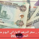 أسعار العملات.. سعر بيع وشراء الدرهم الإماراتي مقابل الجنيه المصري اليوم