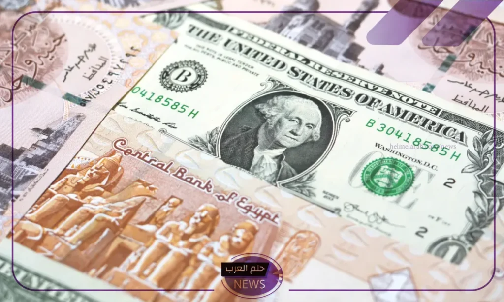 أسعار الصرف.. سعر شراء الدولار بالجنيه المصري اليوم السبت 17 أغسطس 2024 أسعار الصرف.. سعر شراء الدولار بالجنيه المصري اليوم السبت 17 أغسطس 2024