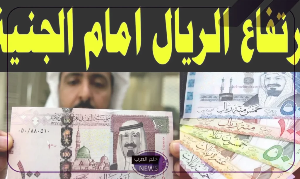 أسعار نهاية أغسطس.. سعر شراء الريال أمام الجنيه اليوم السبت 31 أغسطس 2024 أسعار نهاية أغسطس.. سعر شراء الريال أمام الجنيه اليوم السبت 31 أغسطس 2024