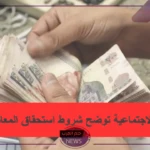 وفقًا للقانون.. الشروط المحددة للخروج على المعاش المبكر في مصر 2024