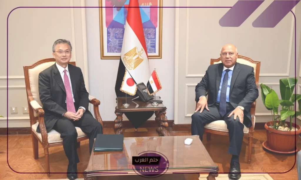 لمد خط المترو.. وزير النقل يبحث مع السفير الياباني مد المترو لميدان الحصري لمد خط المترو.. وزير النقل يبحث مع السفير الياباني مد المترو لميدان الحصري