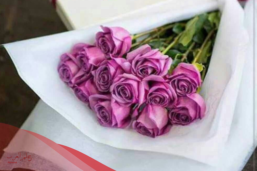 الرد على كلمة تسلم