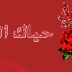 كيف نرد على من يقول حياك الله؟ ومتى تقال؟
