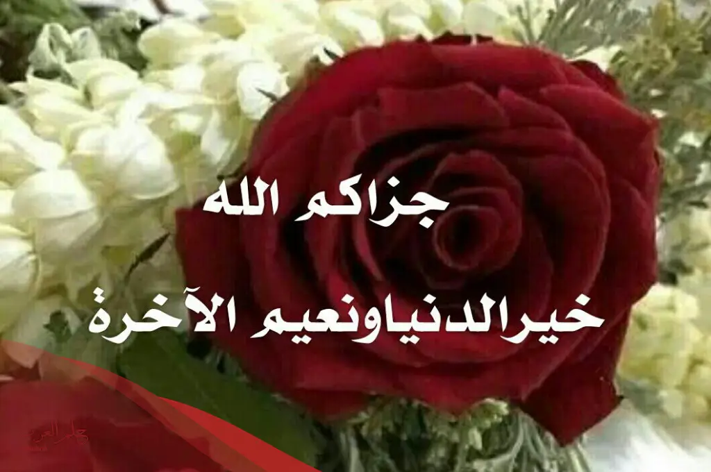 ما هو الرد على سمي طال عمرك؟