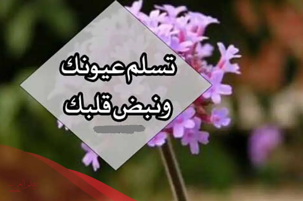اذا احد قالي من عيوني وش ارد