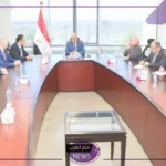 الكهرباء.. الاستعانة بشركات توزيع خاصة للقضاء على ظاهرة سرقة التيار الكهربي
