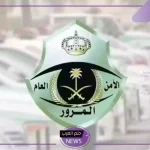 المرور.. الكشف عن عقوبة ملاحقة مركبات الطوارئ خلال تأدية عملها في الشوارع