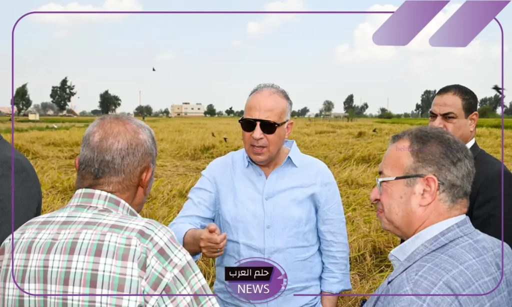 لتطوير مجال الزراعة.. مصر تنفذ التجربة الأولى لزراعة الأرز الموفر للماء لتطوير مجال الزراعة.. مصر تنفذ التجربة الأولى لزراعة الأرز الموفر للماء