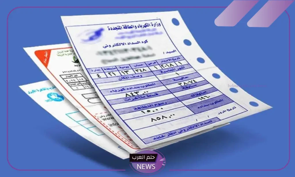 قبل نهاية الشهر.. خطوات الاستعلام عن فاتورة الكهرباء في مصر برقم العداد قبل نهاية الشهر.. خطوات الاستعلام عن فاتورة الكهرباء في مصر برقم العداد