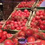 شعبة الخضروات.. انخفاض وتراجع في أسعار الطماطم داخل مصر