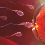 علامات فشل تلقيح البويضة بعد الإبرة التفجيرية عالم حواء