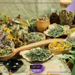 حافظ على راحتك النفسية.. 5 أنواع نباتات رائعة تمنحك الهدوء النفسي والسلامة