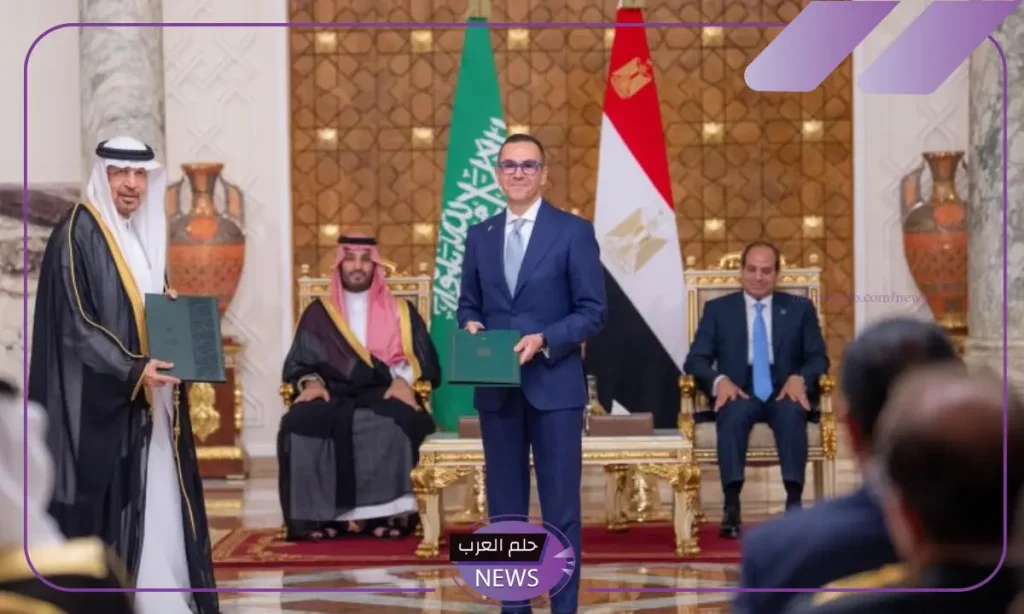 بالأرقام.. مصر على صدارة تراخيص الاستثمار في السعودية خلال العالم 2024