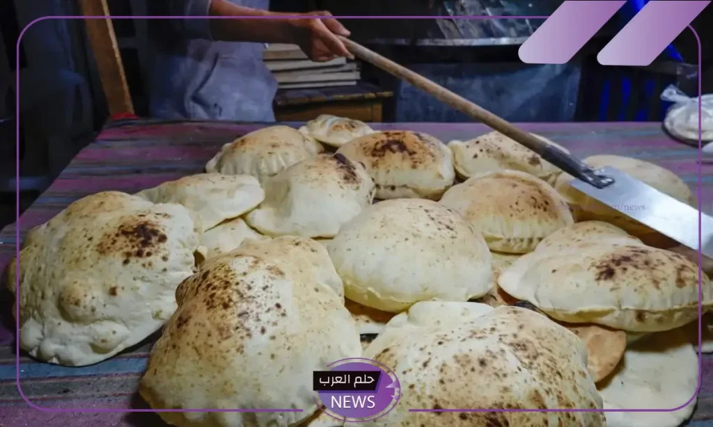 وزير التموين.. اتخذنا قرارات لضبط أسعار البترول والخبز من أجل تخفيف العبء على المواطن وزير التموين.. اتخذنا قرارات لضبط أسعار البترول والخبز من أجل تخفيف العبء على المواطن
