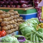 السوق المصري.. أسعار الخضروات والفواكه اليوم الخميس 24 أكتوبر في الأسواق المصرية