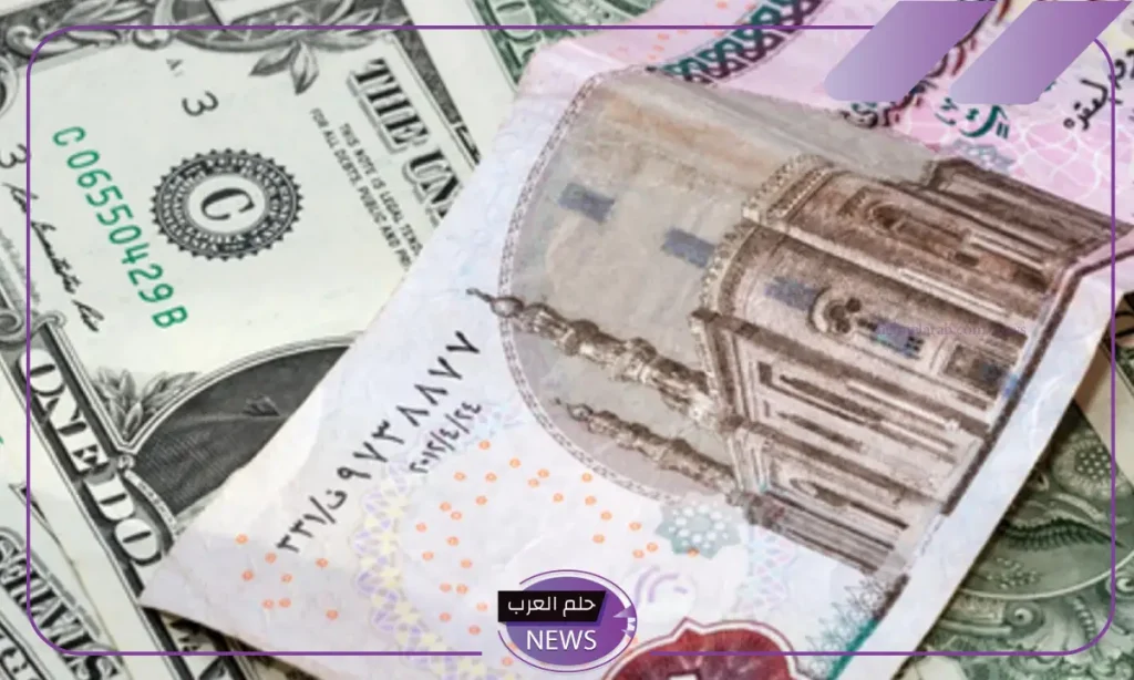 أسعار الدولار.. سعر بيع وشراء الدولار الأمريكي مقابل الجنيه المصري في البنوك اليوم الخميس 31 أكتوبر 2024