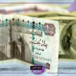 أسعار الدولار.. سعر بيع وشراء الدولار الأمريكي مقابل الجنيه المصري في البنوك اليوم الخميس 31 أكتوبر 2024