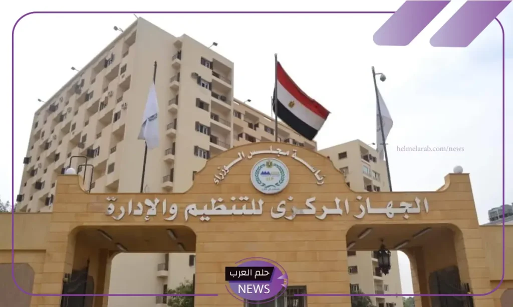 التنظيم والإدارة.. توضيح بخصوص رابط الاستعلام عن أحقية الموظف في الترقية التنظيم والإدارة.. توضيح بخصوص رابط الاستعلام عن أحقية الموظف في الترقية