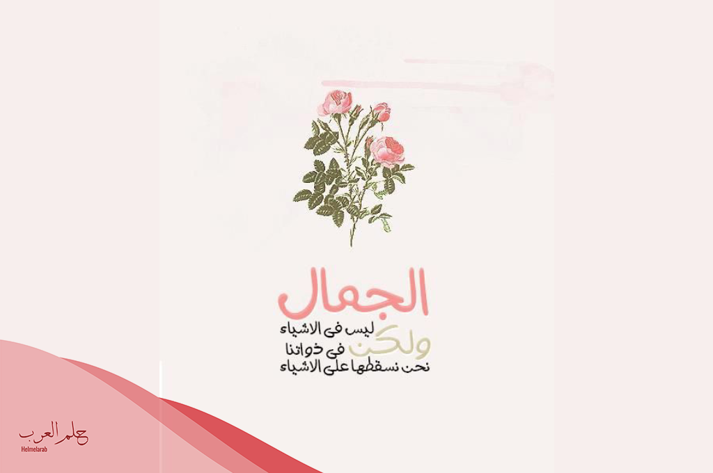كلام عن الجمال رائعة.. أفضل ما قيل في الجمال
