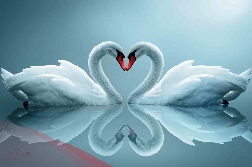 صور جميله جديده فخمة 2025