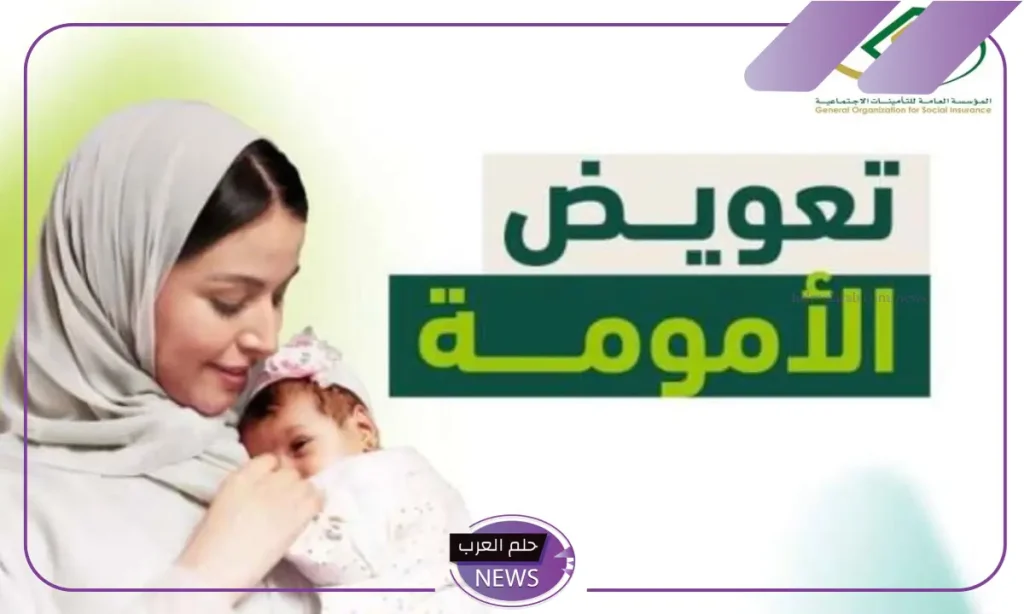 لاستحقاق الدعم.. 3 شروط لازمة وضوابط معينة لحصول المرأة العاملة على دعم تعويض الأمومة