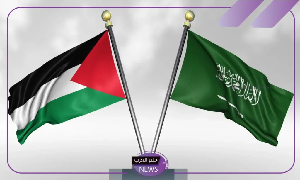 الخارجية السعودية.. إقامة دولة فلسطينية من أولويات السعودية بتعليمات سمو ولي العهد الخارجية السعودية.. إقامة دولة فلسطينية من أولويات السعودية بتعليمات سمو ولي العهد