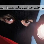تفسير حلم حرامي ولم يسرق شيء لابن سيرين