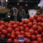 ما الحقيقة.. نقيب الفلاحين يكشف حقيقة وجود ثقوب سوداء في الطماطم بعد تداول مقطع صوتي يحذر من التسمم