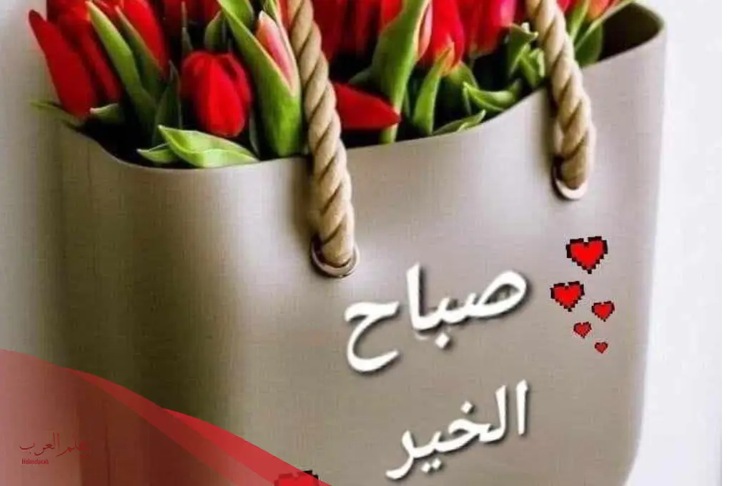 صباح الحب يا روحي.. أجمل عبارات صباحية صباح الحب يا روحي.. أجمل عبارات صباحية