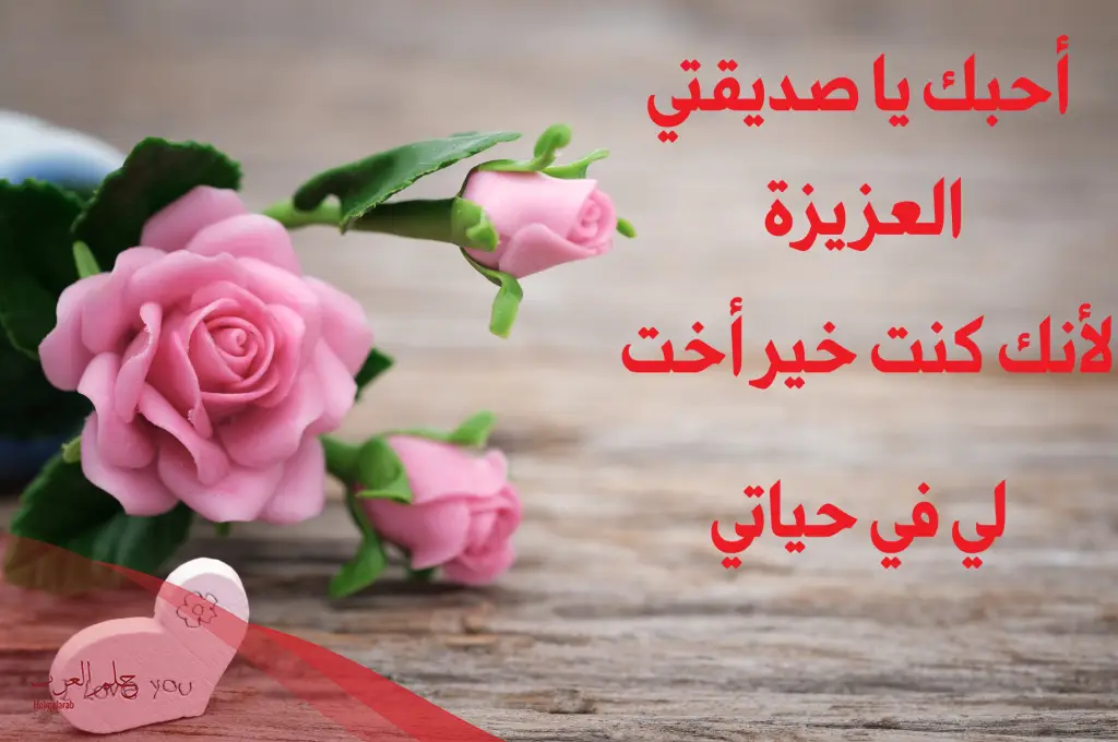 كلام حلو عن صديقات جميل.. أجمل ما قيل عن الصديقة كلام حلو عن صديقات جميل.. أجمل ما قيل عن الصديقة