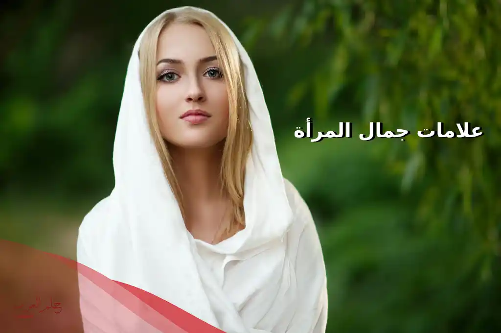  ماهو الكبيني وكيف شكله؟