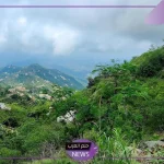 للتطوير والتعمير.. تفاصيل مشروع غابات جازان والمبادرة البيئية لجعل المنطقة رئة خضراء بالمملكة