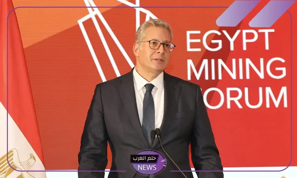 وزارة البترول المصرية.. تمكنا من توقيع 7 اتفاقيات على مدار 2024